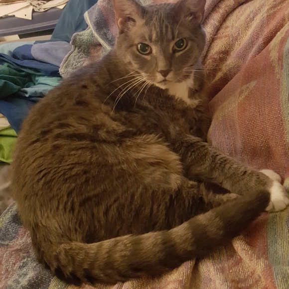 THIS CLOSET - Picture 8 of 8